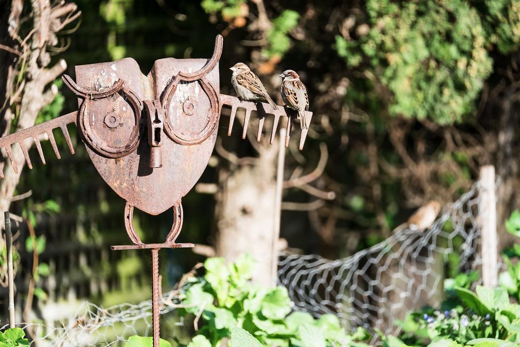 Merrijig Inn Порт-Фері Екстер'єр фото